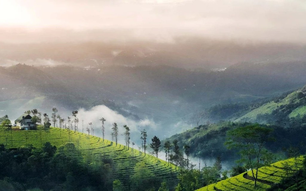 Vagamon
